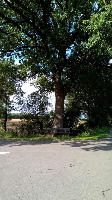 Talstraße , Bassum nach , Morsum -Thedinghausen