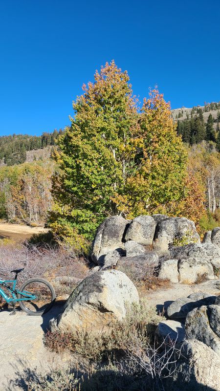 incline