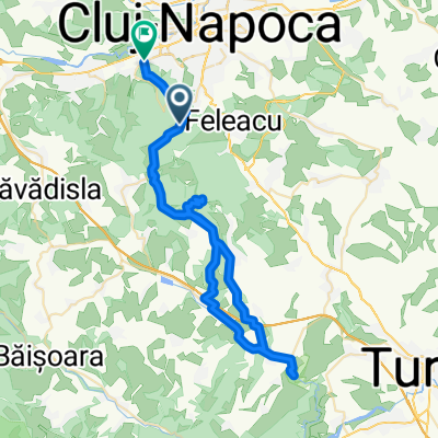 Cluj-Napoca - Cheile Turzii pe la Casele Micesti