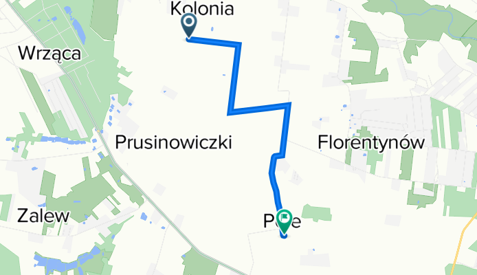 Trasa do Prusinowice 49, Lutomiersk