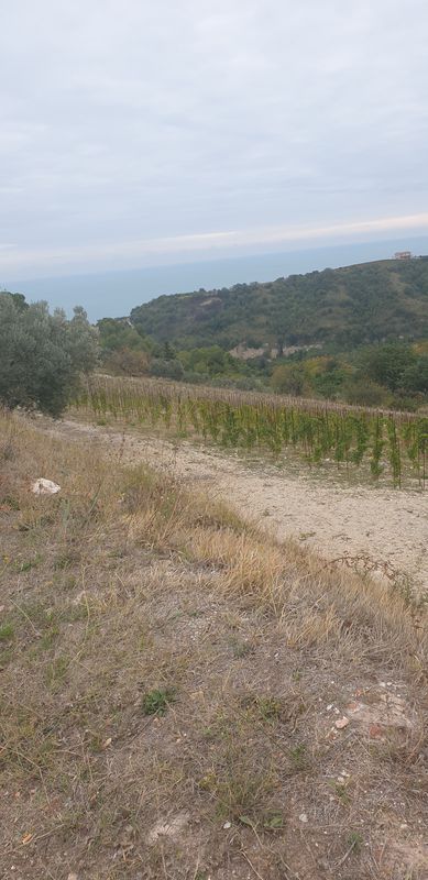 Fermo - Marina Palmense - Lapedona