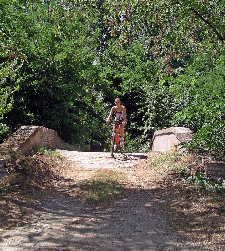 c) Percorso Gonzaghesco: Reggio Emilia - Novellara - Guastalla