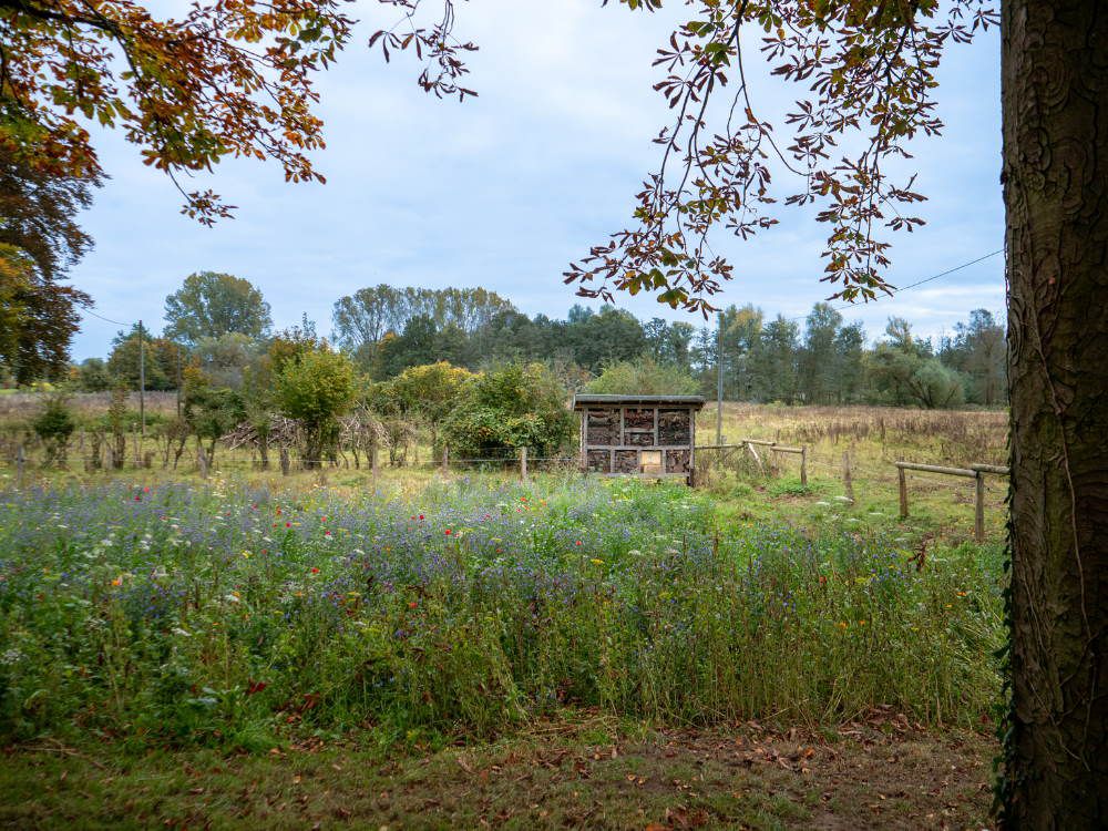 Datteln - Kökelsumer Hofcafe