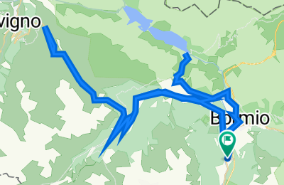 Route in der Bikemap App öffnen