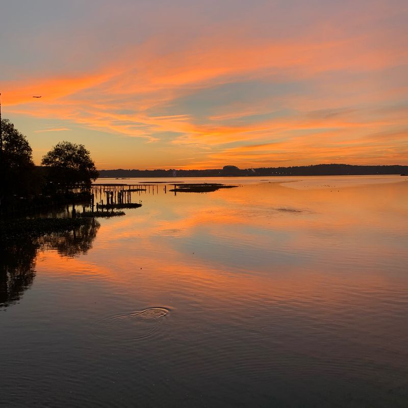 Mount Vernon