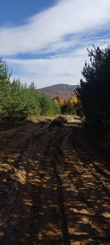 Платно Недко Каблешков, Бойково to хижа Равнища, Дедово