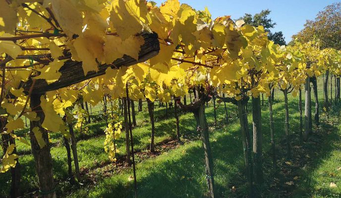 Foto 2 der Bikemap-Route "Rdeča tura 21"