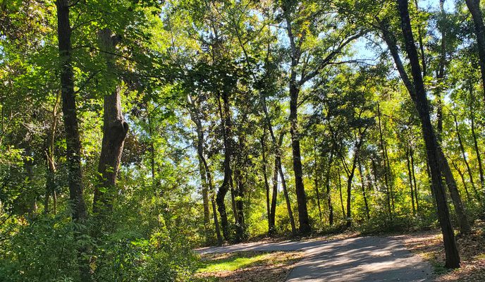 Photo 1 of the Bikemap route "Longfield Court 7, Savannah to Marsh Harbor Drive North 13, Savannah"