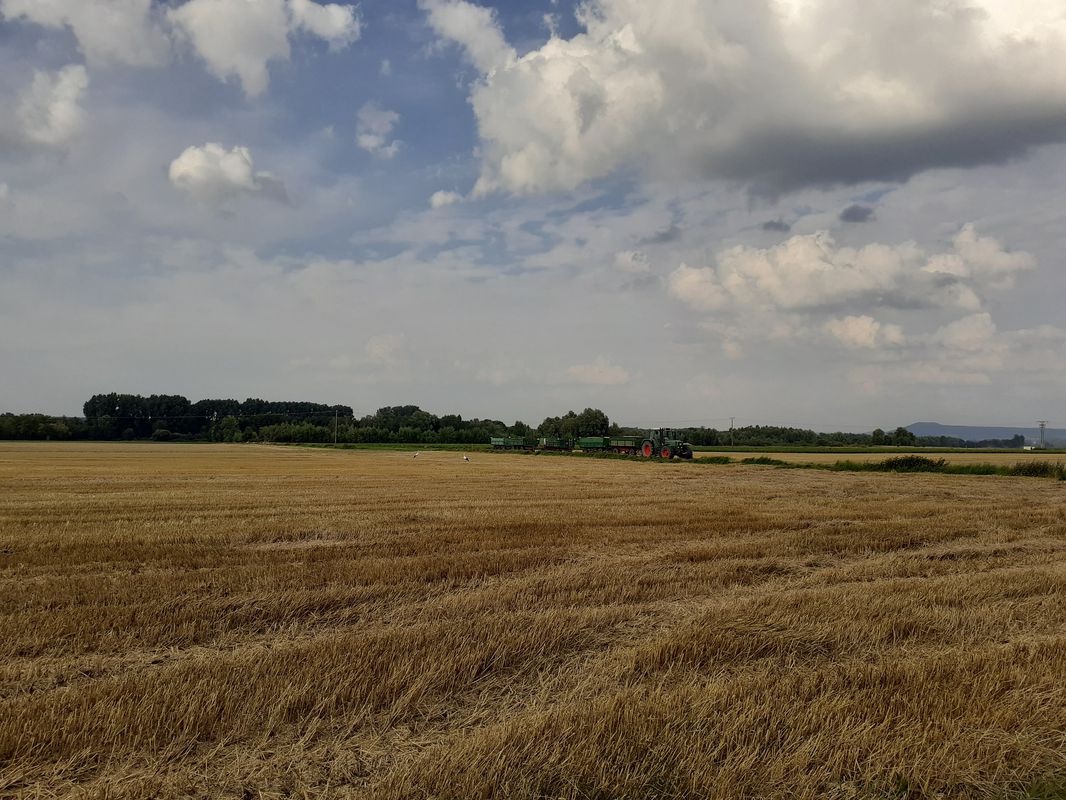 Felsberg - Wabern - Cappel - Runde