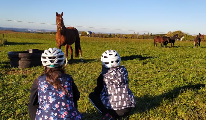Foto 2 der Bikemap-Route "Unnamed Road, Stützengrün to Theatergasse 1, Steinberg"