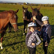 Unnamed Road, Stützengrün to Theatergasse 1, Steinberg