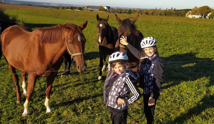 Foto 1 der Bikemap-Route "Unnamed Road, Stützengrün to Theatergasse 1, Steinberg"