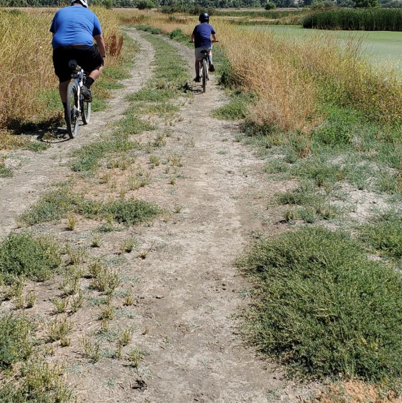 Route from 17050 Davis Rd, Moreno Valley