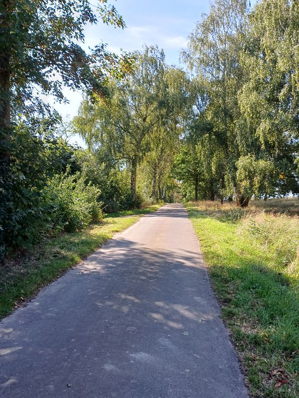 Zwischen den Brücken 8, Hofgeismar nach Zwischen den Brücken 9, Hofgeismar