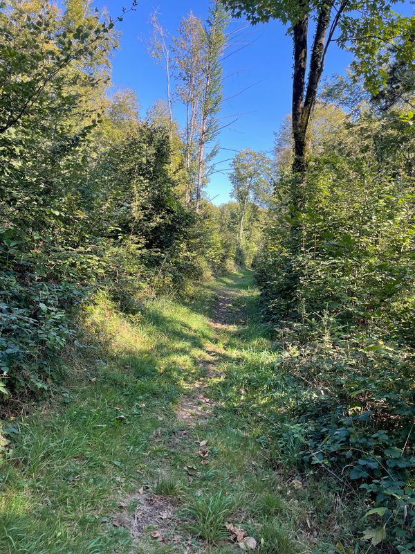 St. Brice-Les trois Etangs