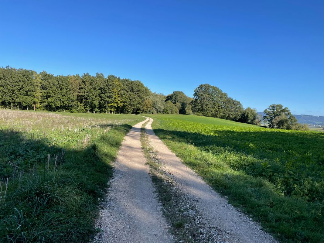 St. Brice-Les trois Etangs