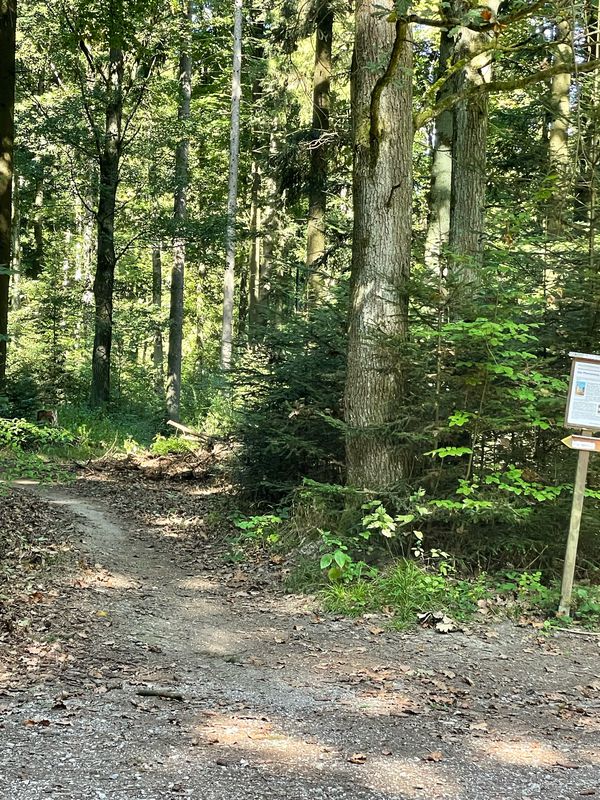 Ulmenstraße 8, Lappersdorf nach Ulmenstraße 8, Lappersdorf