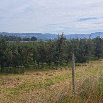 Photo 8 of the Bikemap route "Bodensee Radweg Tag 1/3"