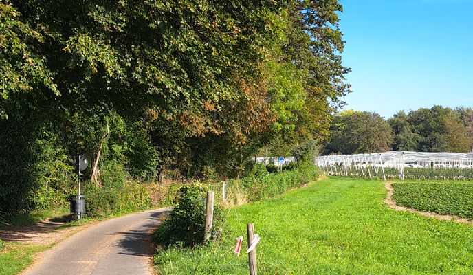 Photo 1 of the Bikemap route "Bodensee Radweg Tag 1/3"