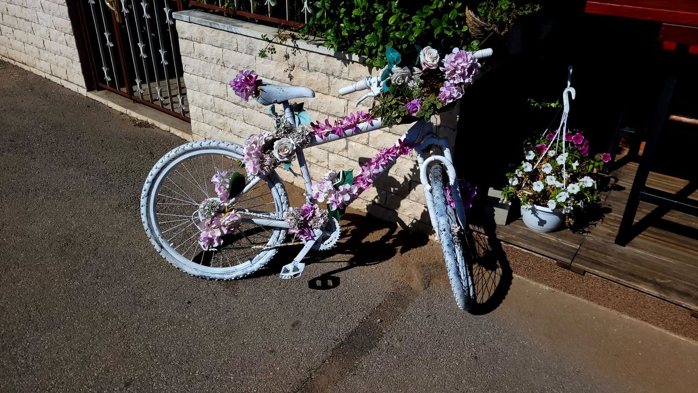 Z MOTORJEM NAOKOLI