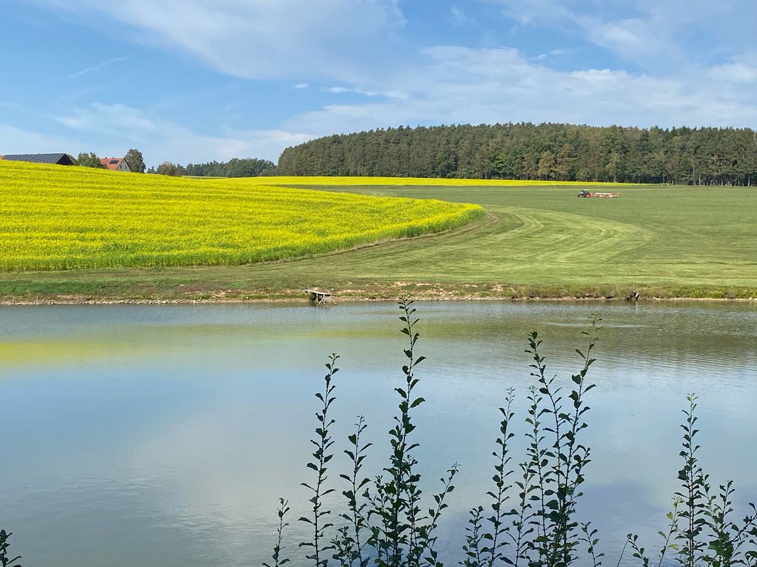 Ludwigsheide 31, Bodenwöhr zum Eixendorfer Stausee, nach Ludwigsheide 31, Bodenwöhr