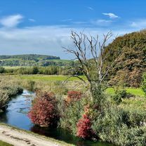 Photo 7 of the Bikemap route "Oberhausen nach Webergasse 8, Neuburg an der Donau"