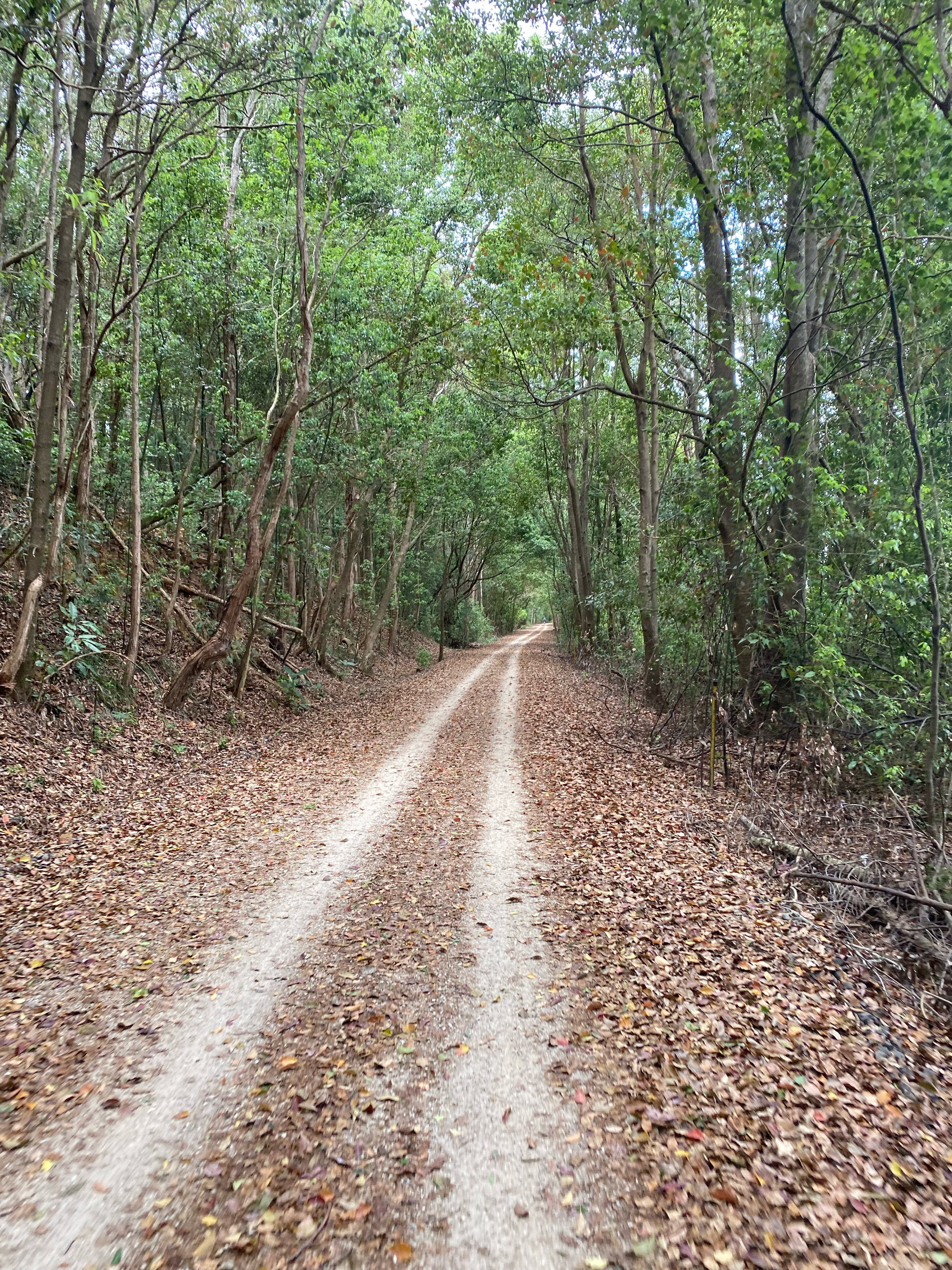 Northern Rivers Rail Trail