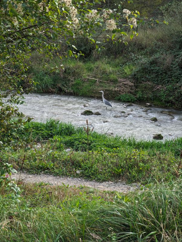 Durch den Wald, über Trails, entlang der Aare