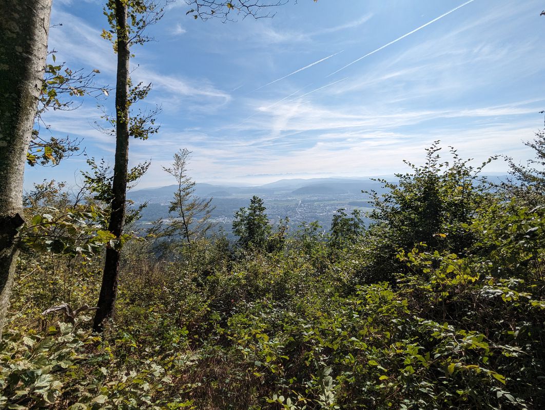 Durch den Wald, über Trails, entlang der Aare