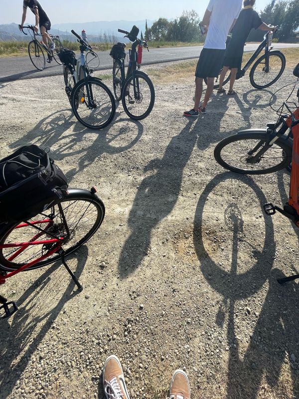 Activity from Cycle Summit Cycle Day 23