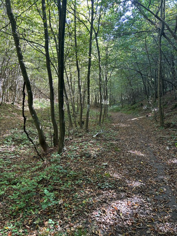 Cazin(restoran Papilon)-Hairlahov.brdo-Koprivna-Krecane-Koliste