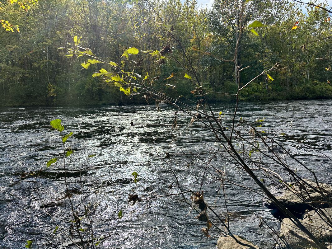 Farmington trail to Collinsville and return via New Road