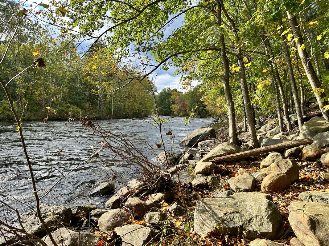 Farmington trail to Collinsville and return via New Road