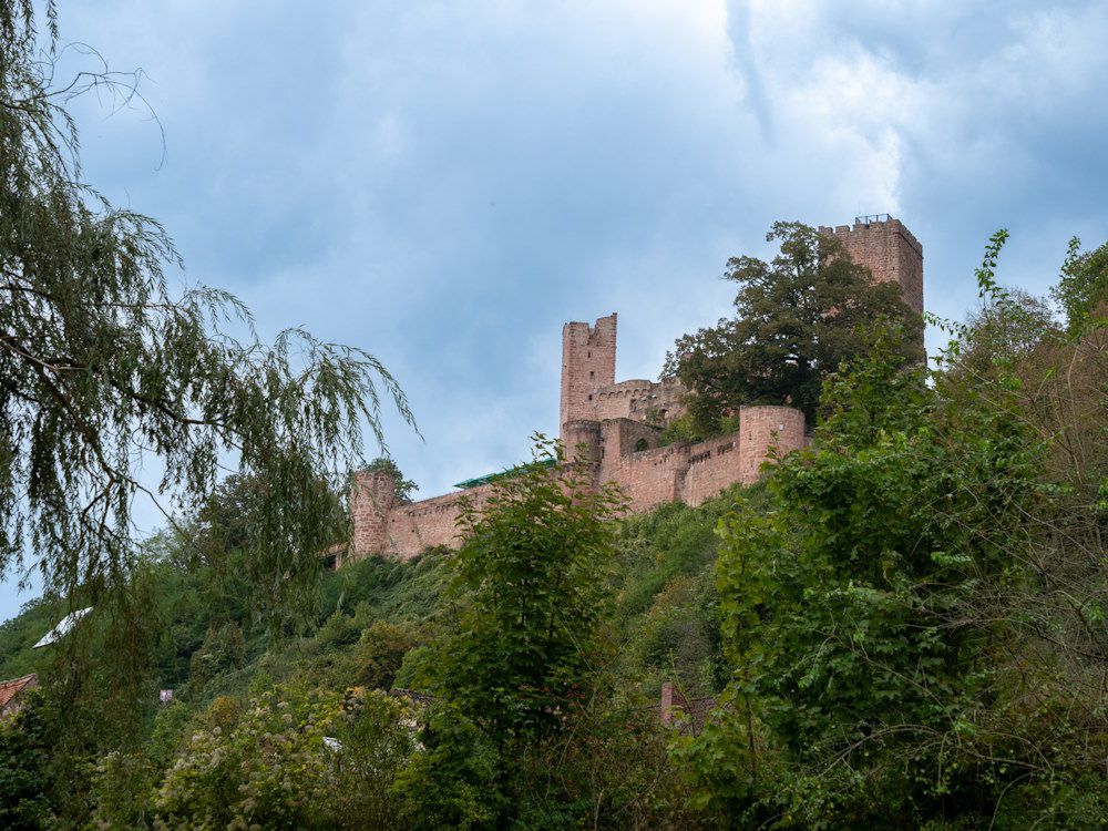 Mainradweg Lohr am Main - Miltenberg