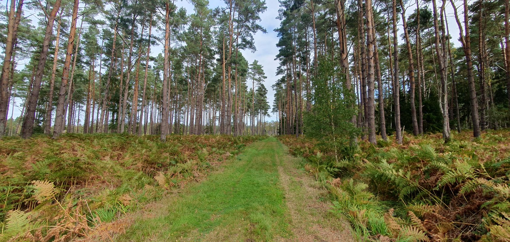 Rundfahrt Graal-Müritz