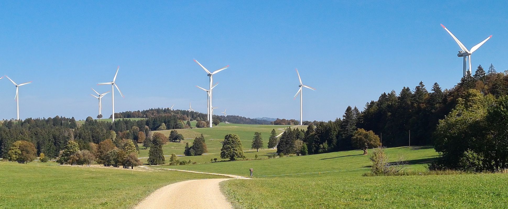 Mont-Soleil, Saint-Imier nach Stade de la Courtine 3, Corgémont