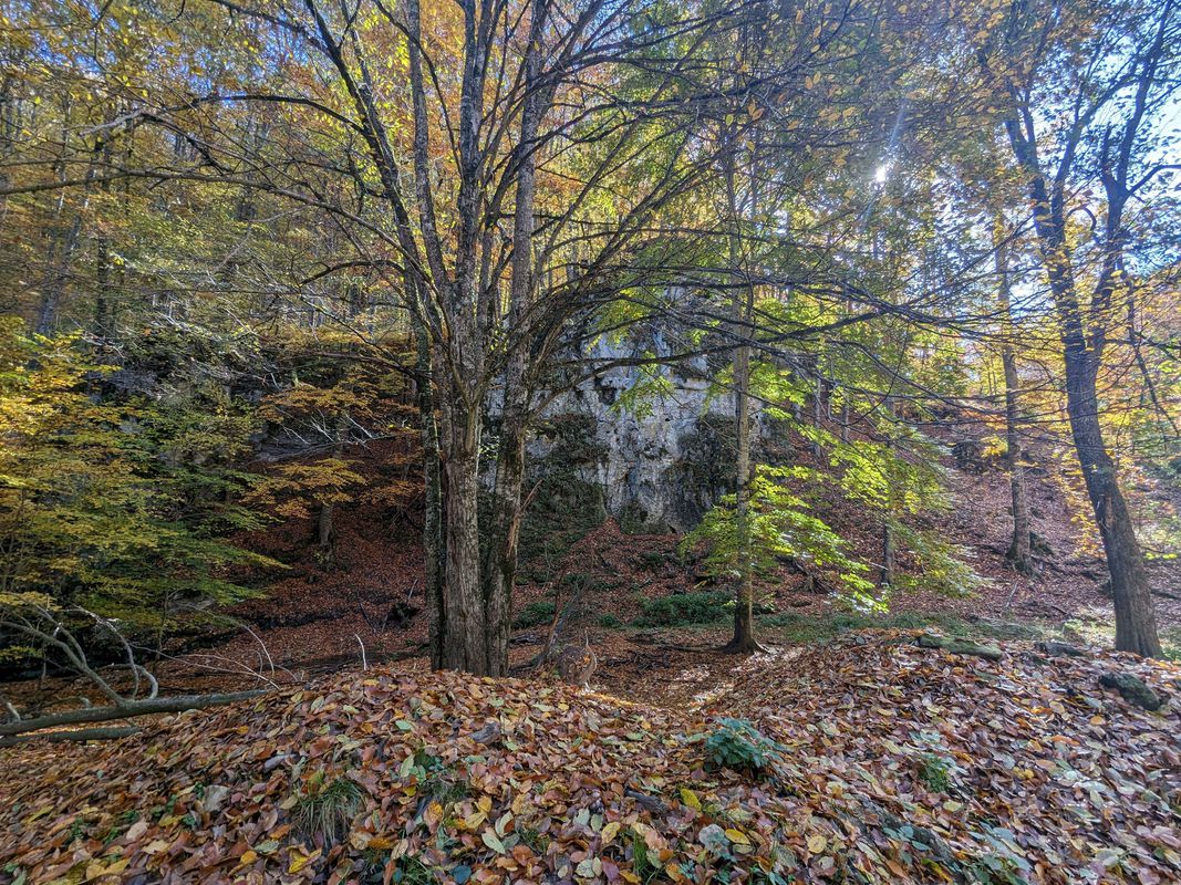 Valea Bozom - Cheile Dopca