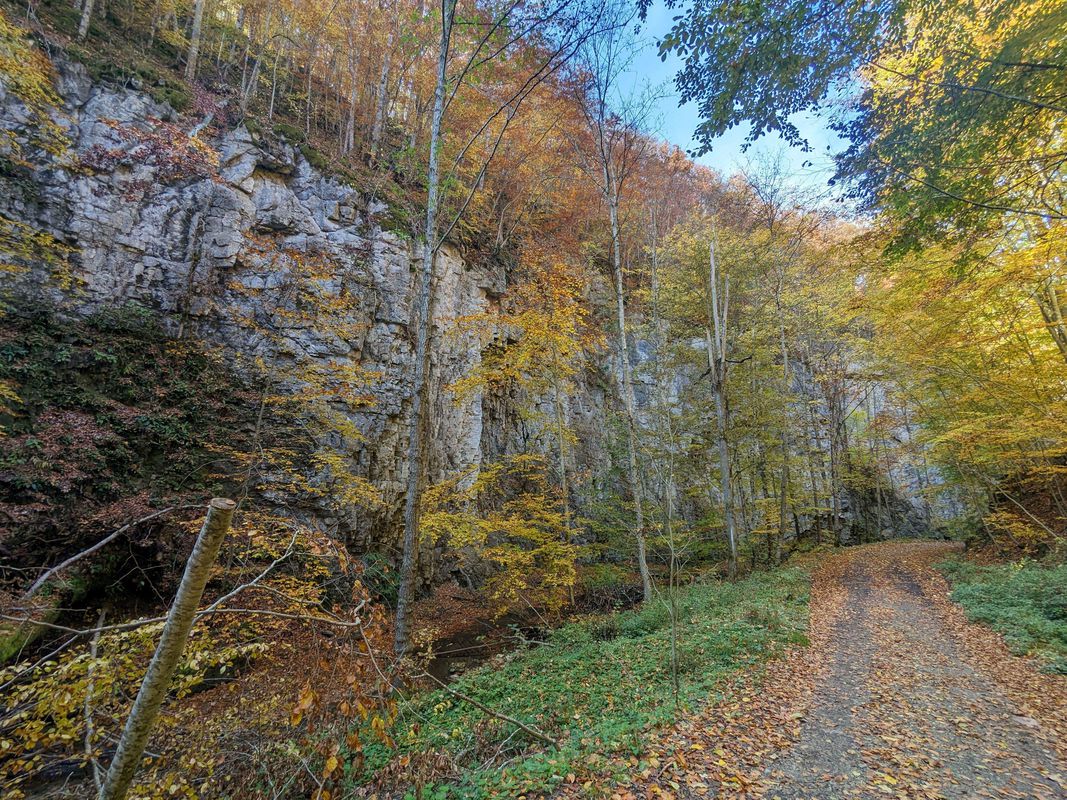 Valea Bozom - Cheile Dopca