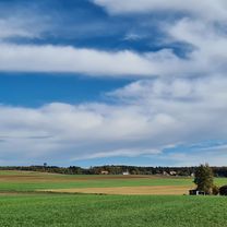 Foto 7 der Bikemap-Route "Ume Forst u Spiuwaud a Forstwäg" Foto 7 der Bikemap-Route "Ume Forst u Spiuwaud a Forstwäg"