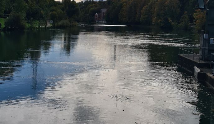 Foto 1 der Bikemap-Route "Ume Forst u Spiuwaud a Forstwäg" Foto 1 der Bikemap-Route "Ume Forst u Spiuwaud a Forstwäg"