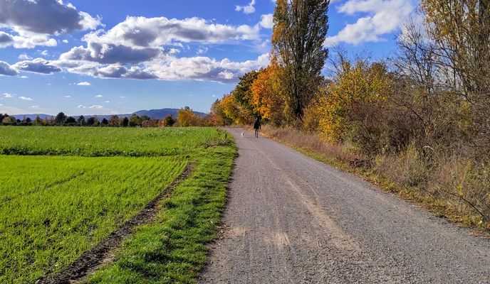Photo 1 of the Bikemap route "Wolkersdorf - Energieweg Gravel - Deutsch Wagram WindGraveln - Marchfeldkanal"
