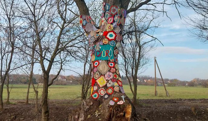 Foto 2 der Bikemap-Route "Útvonal innen: Zsókavár utca 61, Budapest"