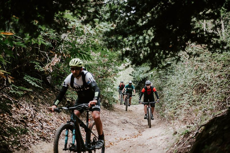 Riccio Trail