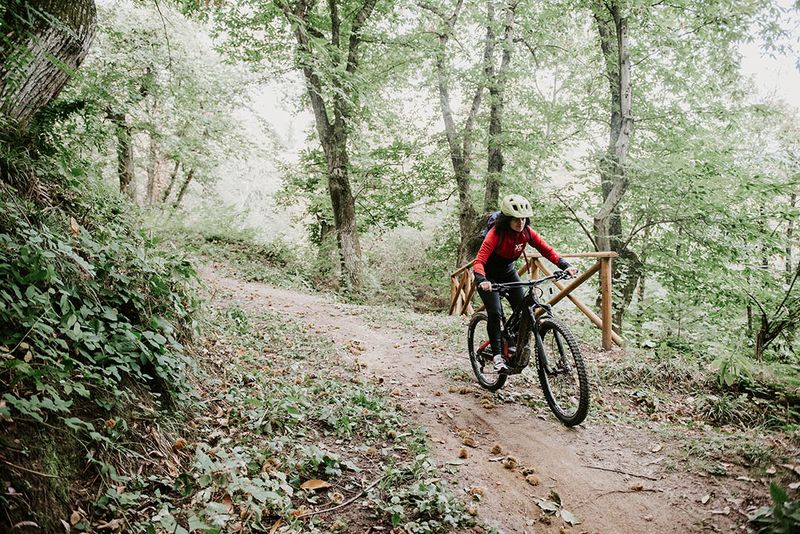 Riccio Trail
