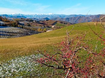 Venere Trail
