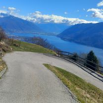 Mergugno