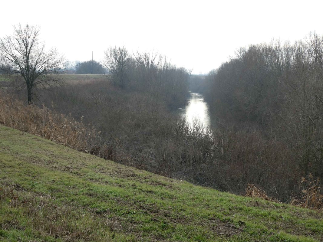 Lungo il fiume Secchia 1