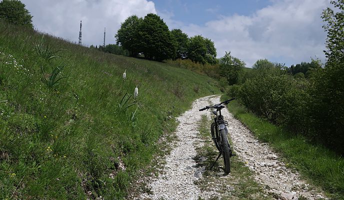 Foto 2 der Bikemap-Route "Volano - Finocchio (30,6 km)"