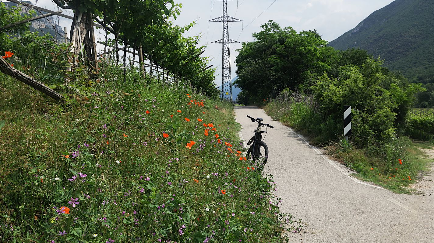 Ala Etsch Runde (88,3 km)