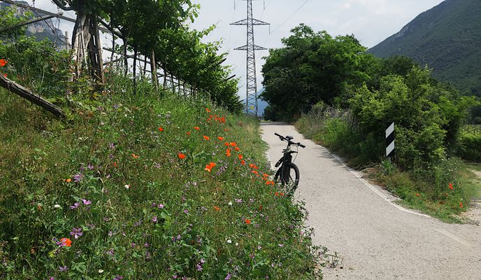 Foto 1 der Bikemap-Route "Ala Etsch Runde (88,3 km)"